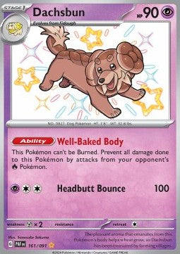 NM - Paldean Fates - Dachbun